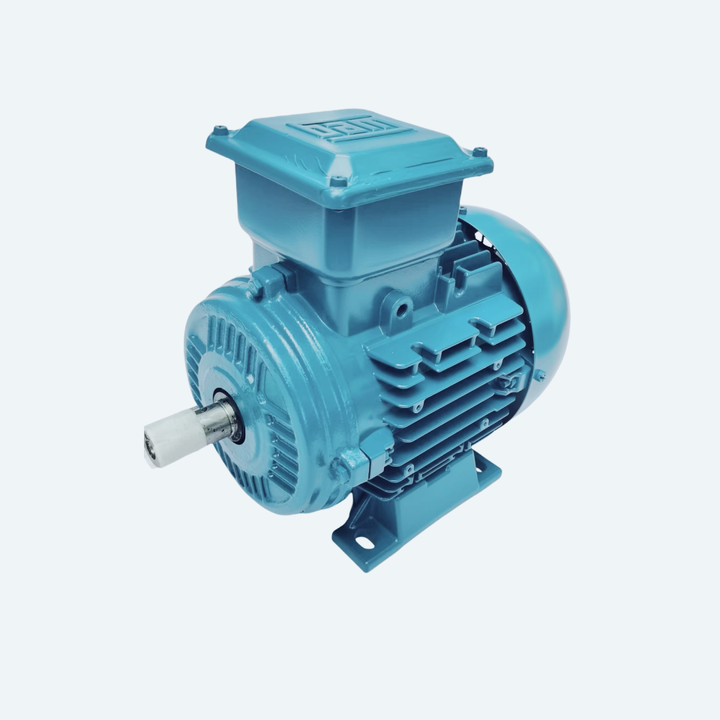 Weg motors 3 Phase Induction Ac motor